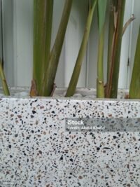 Terrazzo Tiles