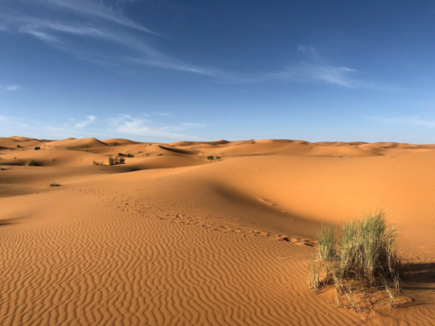 The Ultimate Guide to Planning a Successful Trip to the Sahara