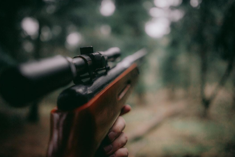 The Best Hunting Rifles for Beginners A Comprehensive Overview